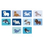 Jeu éducatif Magnéti'Book Animaux Polaires JANOD
