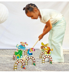 Jeu de Croquet Grand Huit JANOD