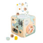 Maxi Cube multi activités Sweet Cocoon JANOD