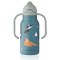 Gourde enfant Kimmie LIEWOOD 250 ml, Artic Sea Ocean View