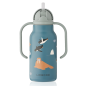 Gourde enfant Kimmie LIEWOOD 250 ml, Artic Sea Ocean View