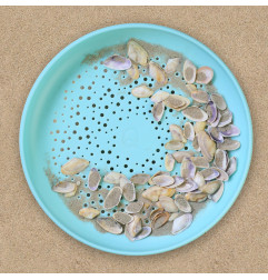 Frisbee 2 en 1 QUUT, tamis et disque volant