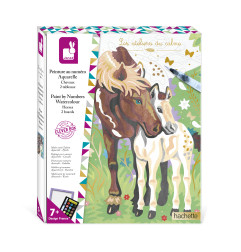 Peinture au Numéro Aquarelle Chevaux JANOD