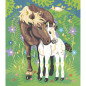 Peinture au Numéro Aquarelle Chevaux JANOD