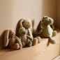 Peluche Berto Crocodile LIEWOOD Peluche Berto Crocodile LIEWOOD
