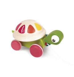 Tortue à Promener Zigolos JANOD