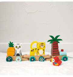 Train Tropical à Tirer JANOD