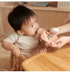 Lot de 2 gourdes à smoothies Lizzie LIEWOOD, Peach