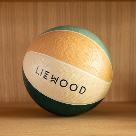Ballon de basket Desmond LIEWOOD