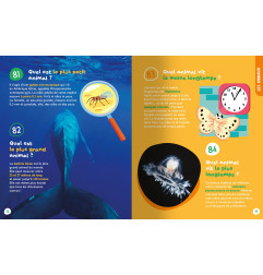 Livre Les Petites et Grandes Questions de mes 3 - 6 ans AUZOU