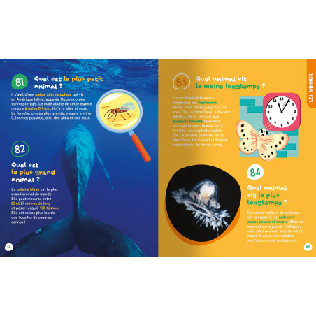Livre Les Petites et Grandes Questions de mes 3 - 6 ans AUZOU