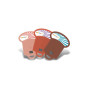 Recharge de 3 histoires Kidystories Cirque pour lampe à histoires Kidyslide KIDYWOLF Recharge de 3 histoires Kidystories Cirque pour lampe à histoires Kidyslide KIDYWOLF