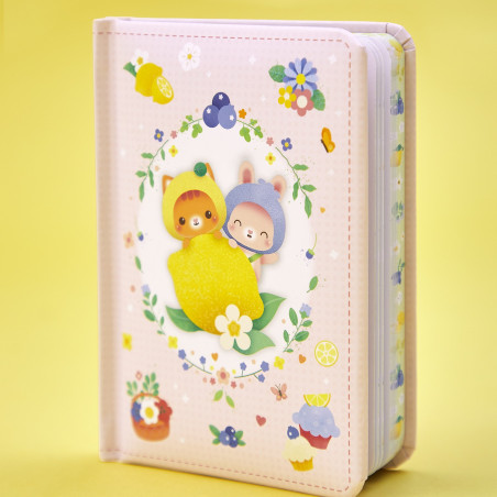 Mini carnet JANOD