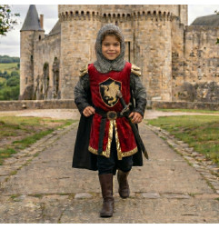 Déguisement de chevalier Tristan avec cape LABAY