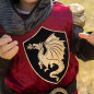 Déguisement de chevalier Tristan avec cape LABAY Déguisement de chevalier Tristan avec cape LABAY