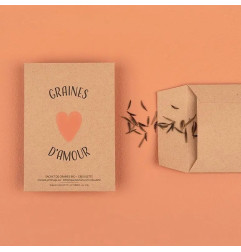 Sachet de graines Graines d'Amour (Ciboulette) LA FABRIQUE A SACHETS
