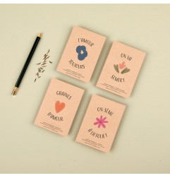 Sachet de graines Graines d'Amour (Ciboulette) LA FABRIQUE A SACHETS