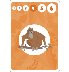 Jeu de cartes Bataille des Animaux du Monde AUZOU