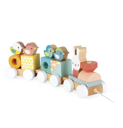 Petit Train en Bois JANOD