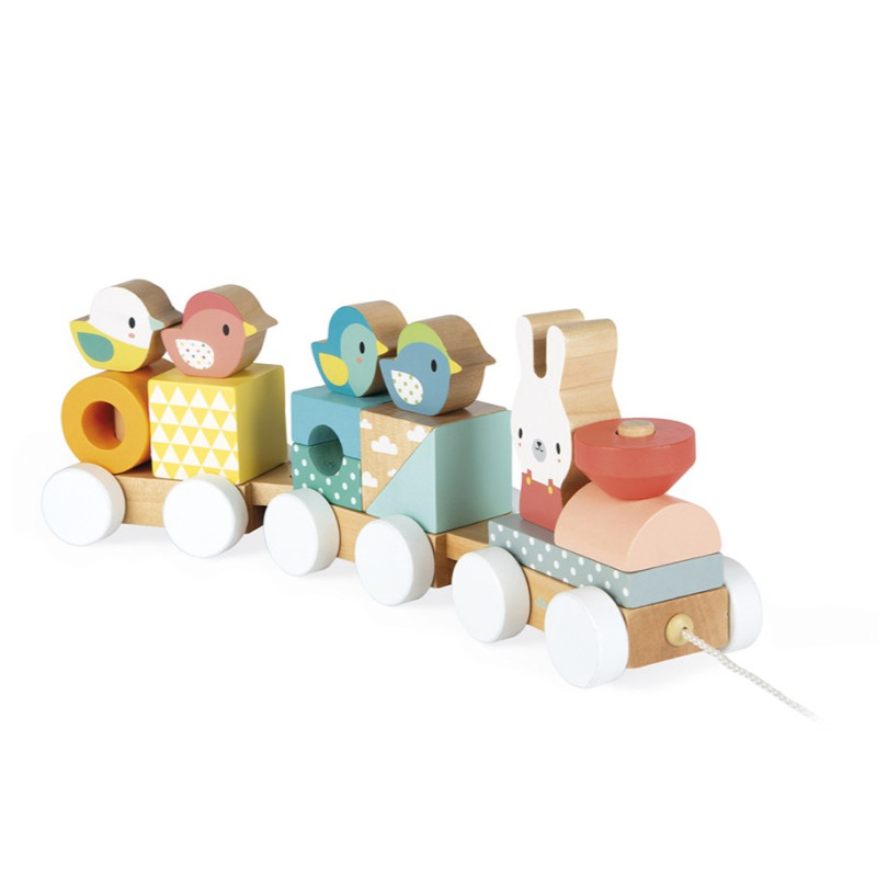 Petit Train en Bois JANOD