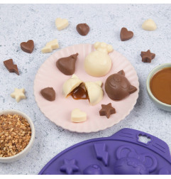 Moule à chocolats CHEF CLUB