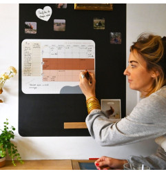 Planificateur familial magnétique FERFLEX