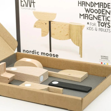 Puzzle 3D magnétique Elan ESNAF