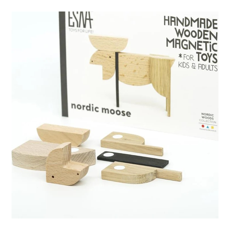 Puzzle 3D magnétique Elan ESNAF