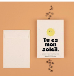 Sachet de graines Tu Es Mon Soleil (Fleurs des Champs) LA FABRIQUE A SACHETS