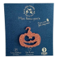 Pin's Citrouille LES PETITES HIRONDELLES