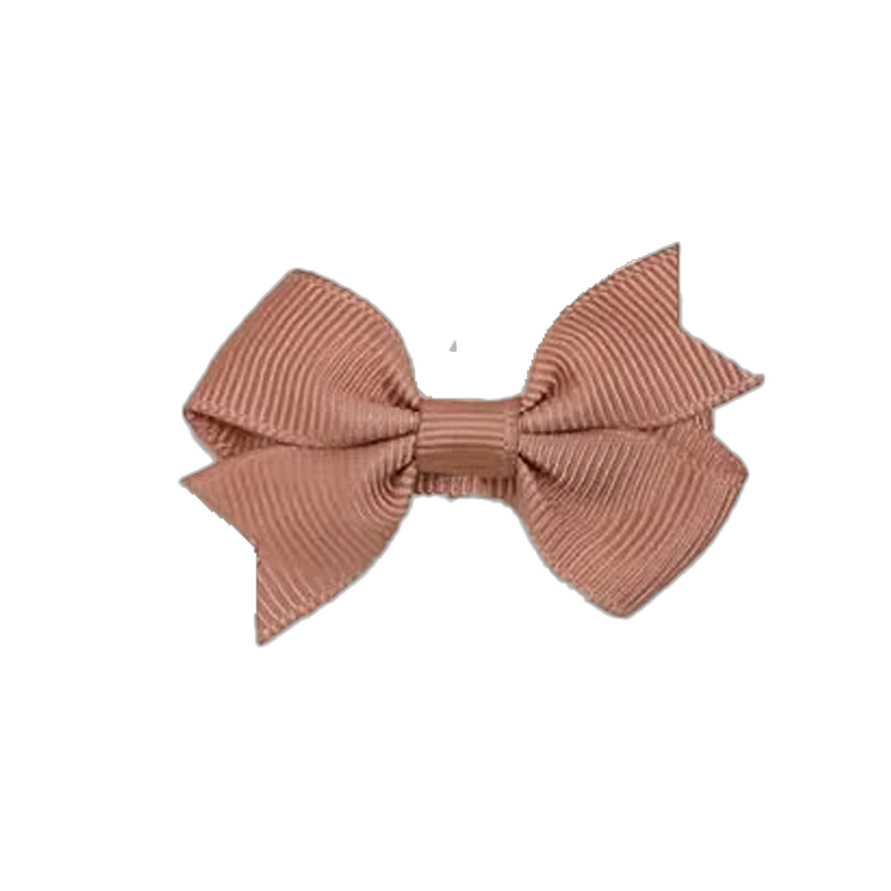 Lot de 2 barrettes ATELIER WAGRAM, caramel