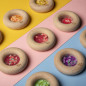 Hochet sensoriel Sensory Donut Citrons PETIT BOUM