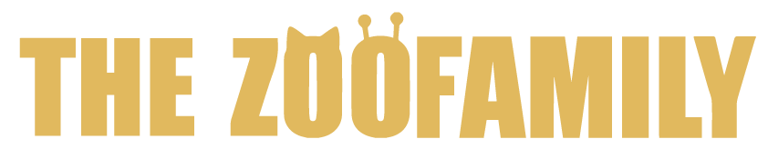 THE ZOO FAMILY